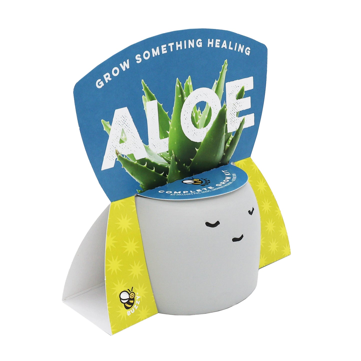 Peaceful Pots 3pk | Indoor Herb & Succulent | Zen Garden