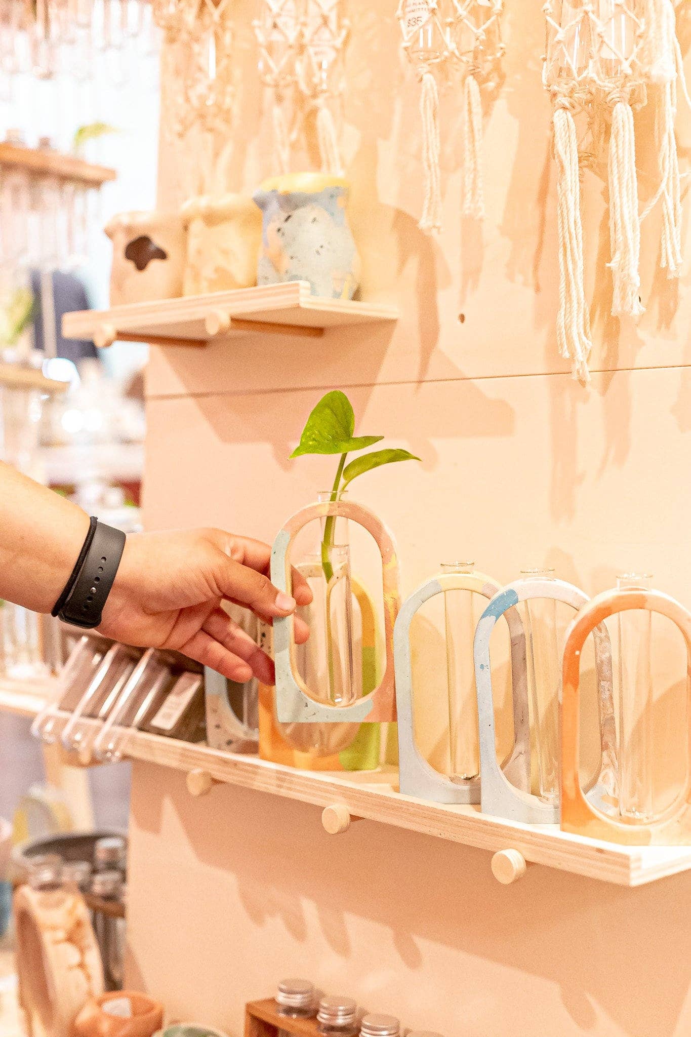 Arch Propagation Station