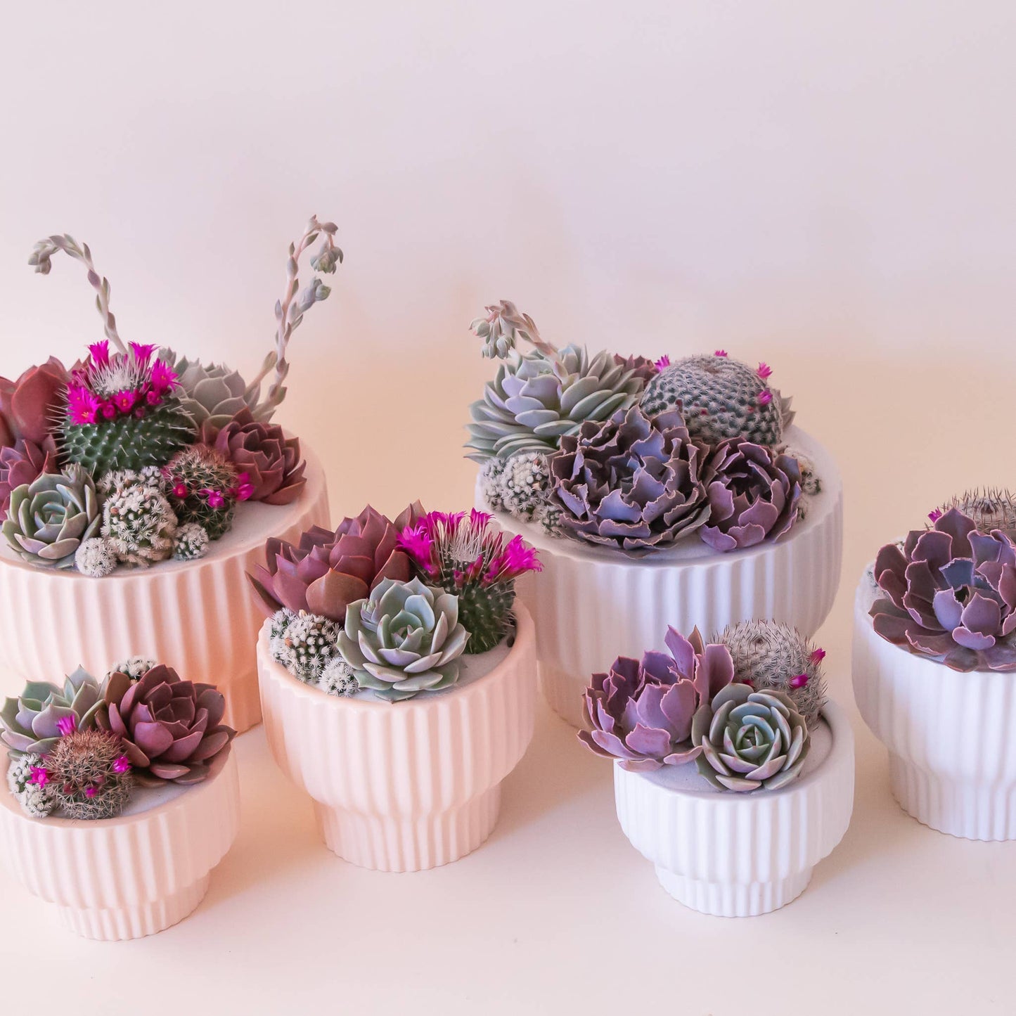 Presley Pedestal Planter | Ballerina