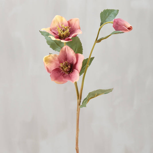 Pink Hellebore Floral Pick