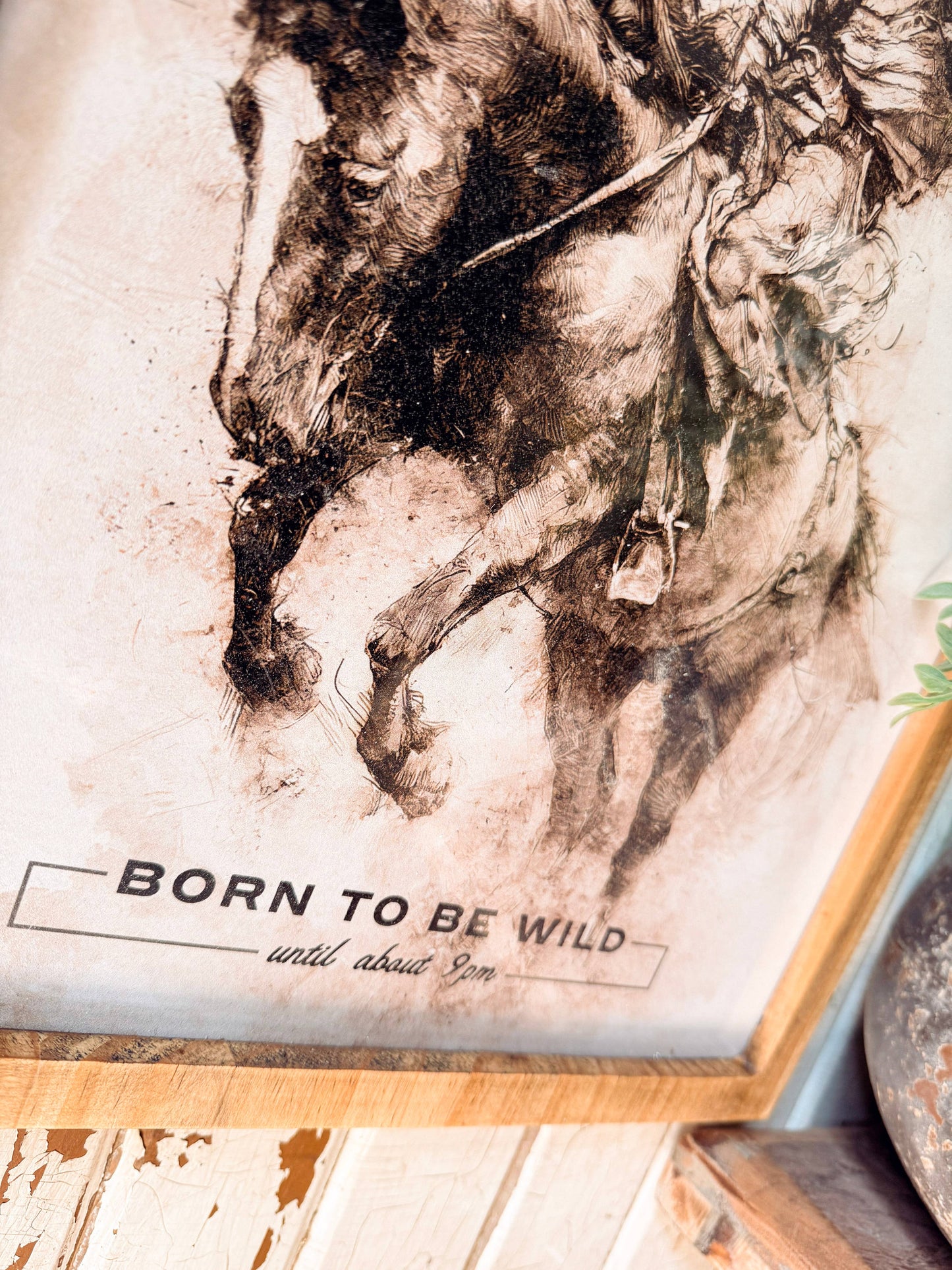 Framed Arch - Born to be Wild Until 9pm