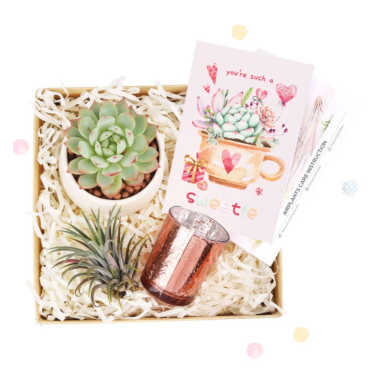 Valentine's Day Gift Box - 1 Succulent And 1 Airplant