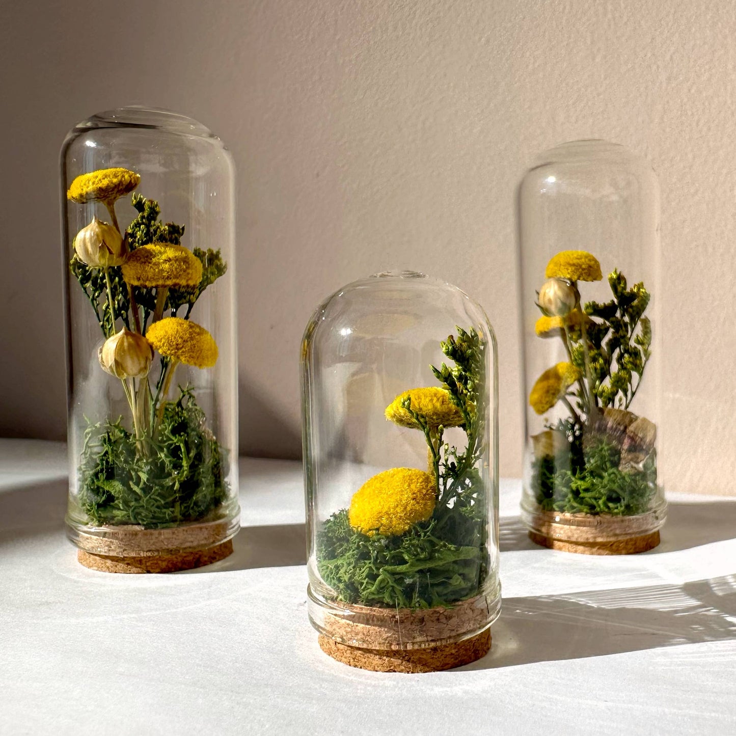 Meadow Mix Mini Glass Cloche Terrarium w. Dried Florals
