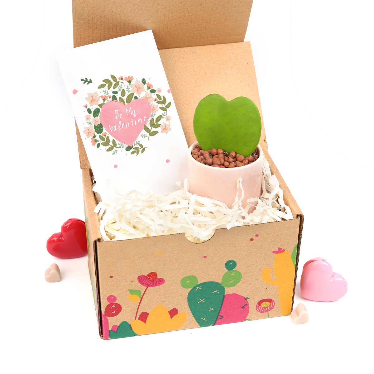 Valentine Gift Box - 1 Hoya Kerrii Heart - Gift Box Ideas