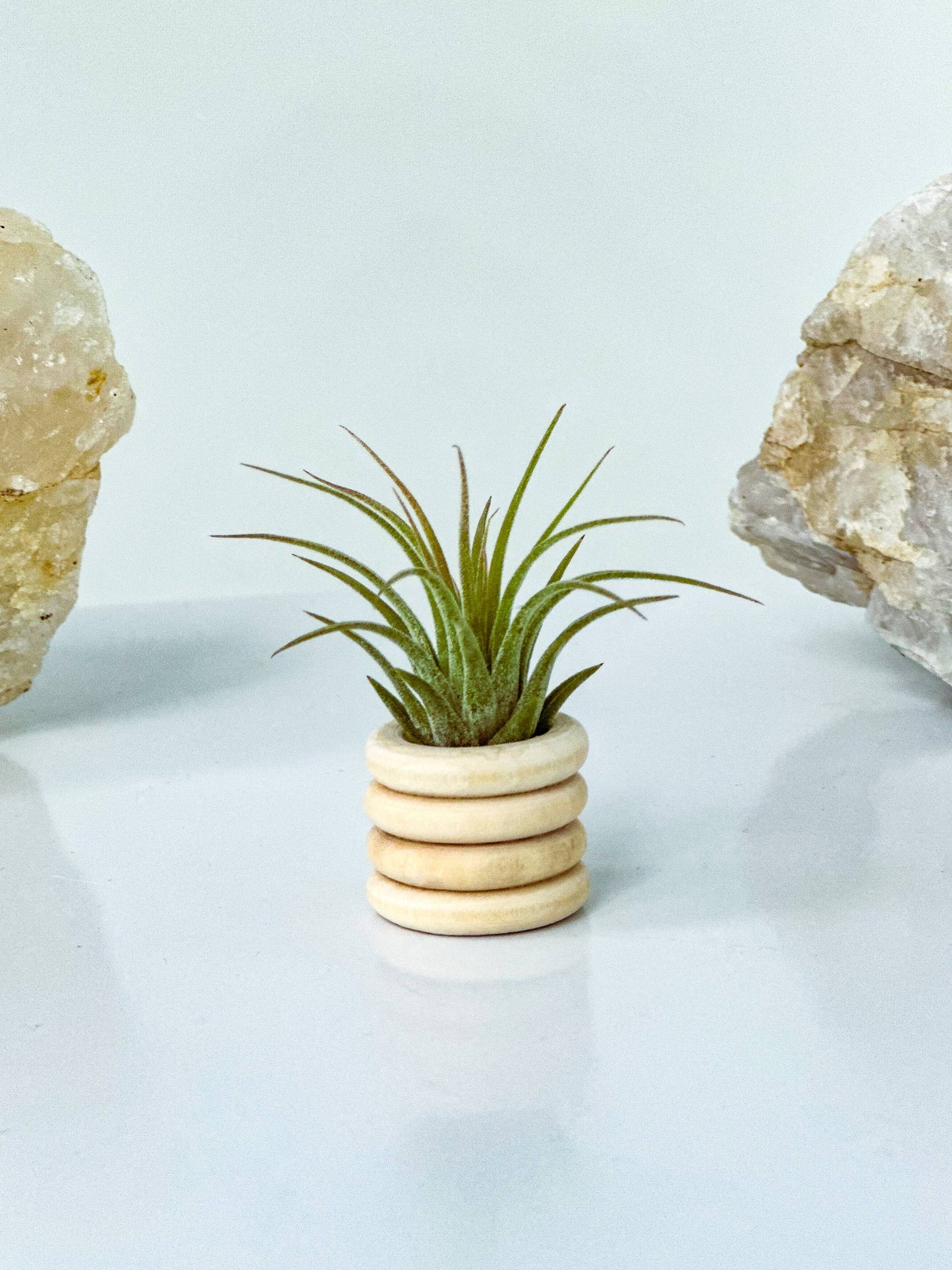 Air Plant Bubble Holder | Tiny Air Plant Minimalist Pot