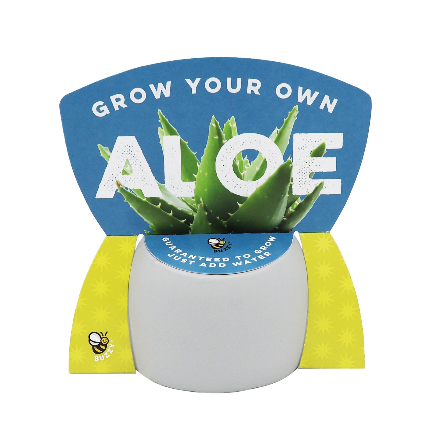 Peaceful Pots 3pk | Indoor Herb & Succulent | Zen Garden