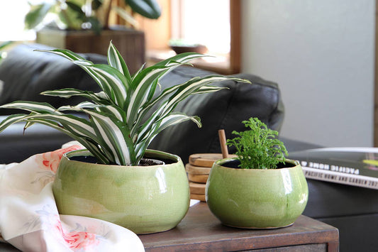 Jewel freeform bowl, pistachio crackle