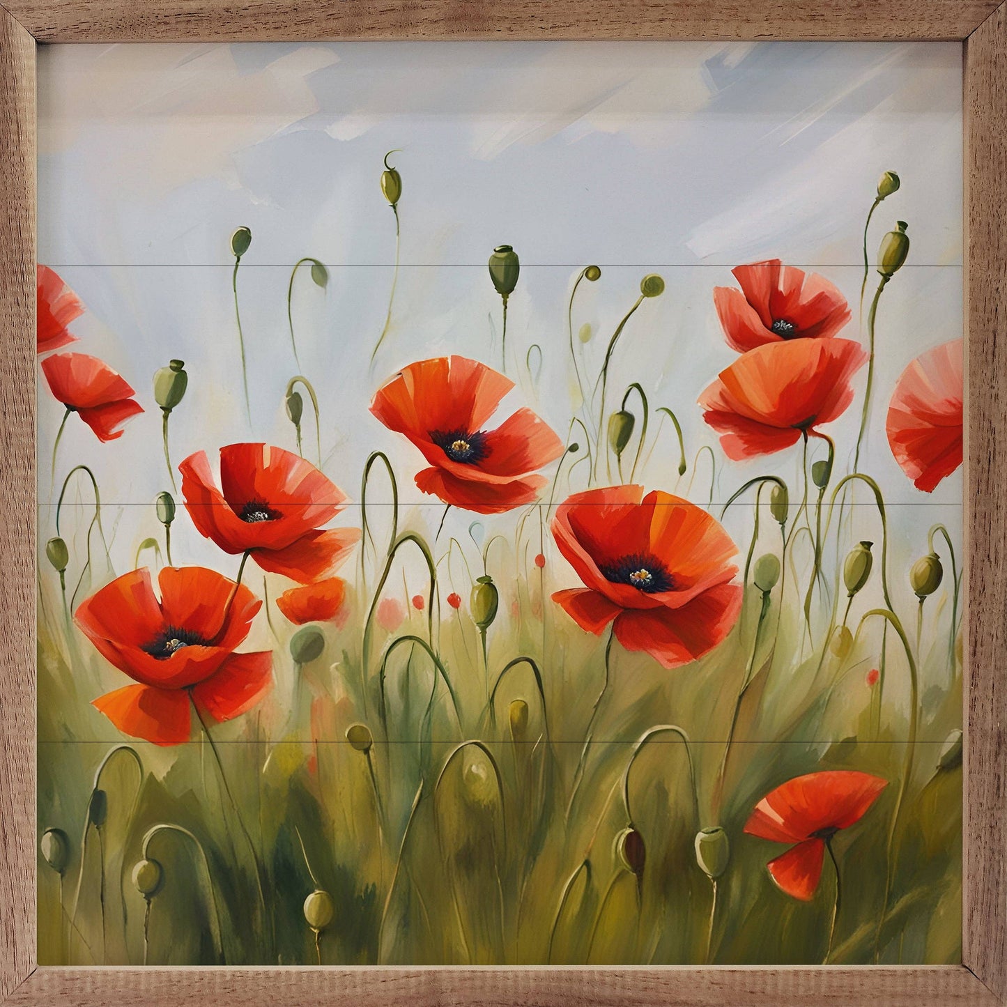 Red Poppy Field