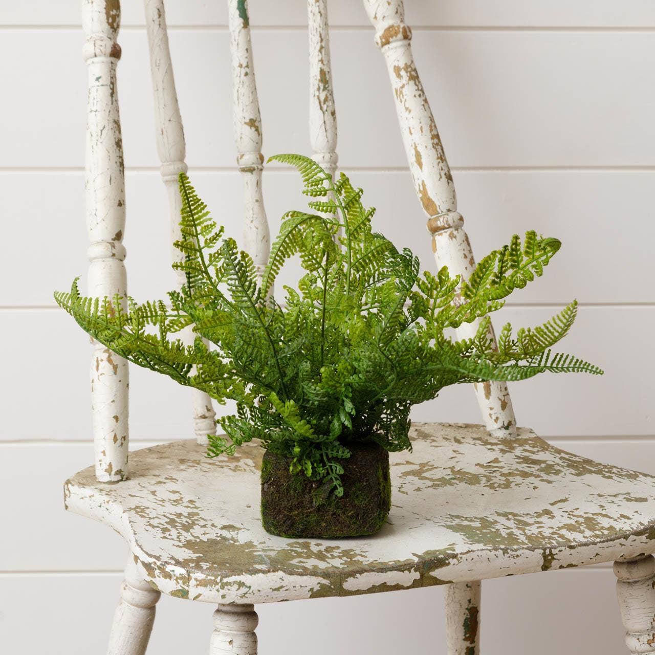 Mossy Faux Fern (PC)