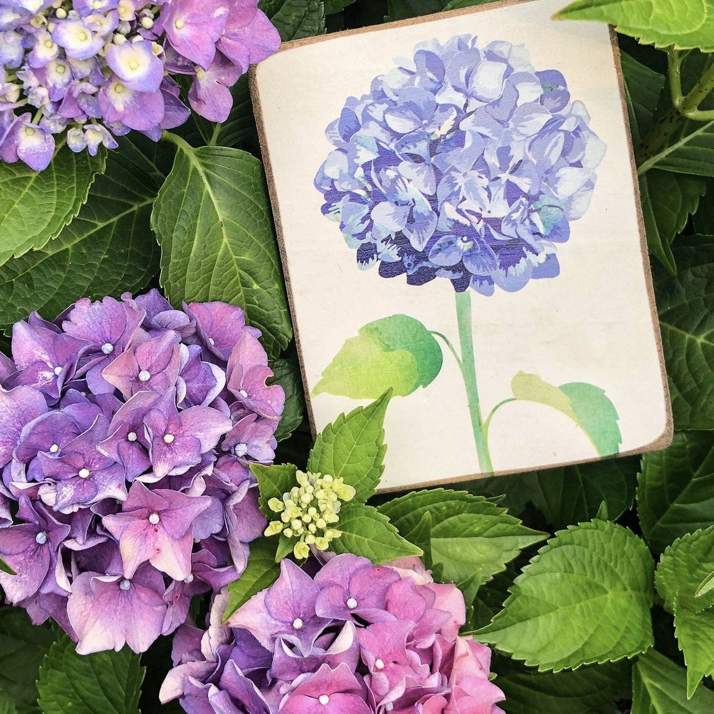 Hydrangea Flower Block Sign