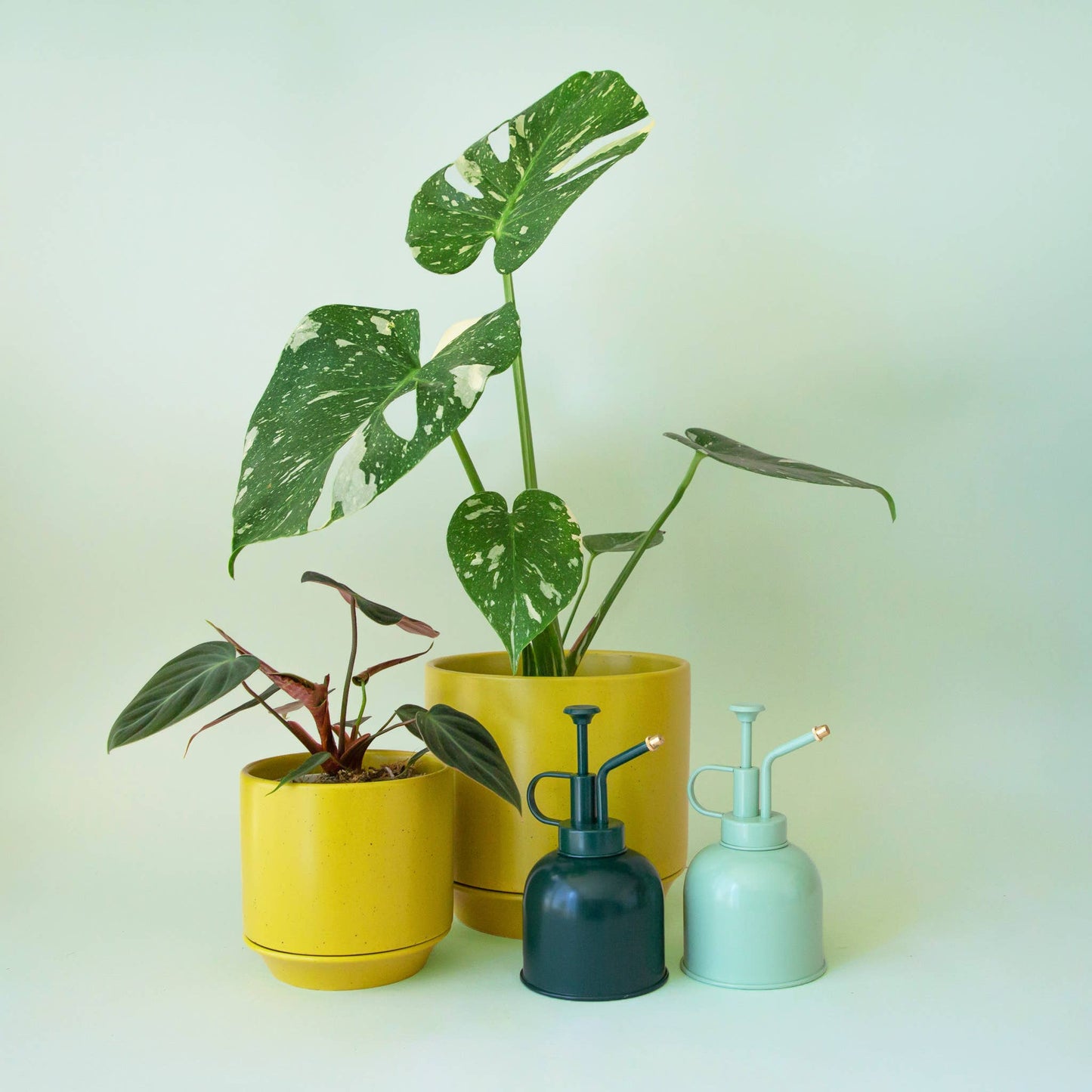 Plant Mister
