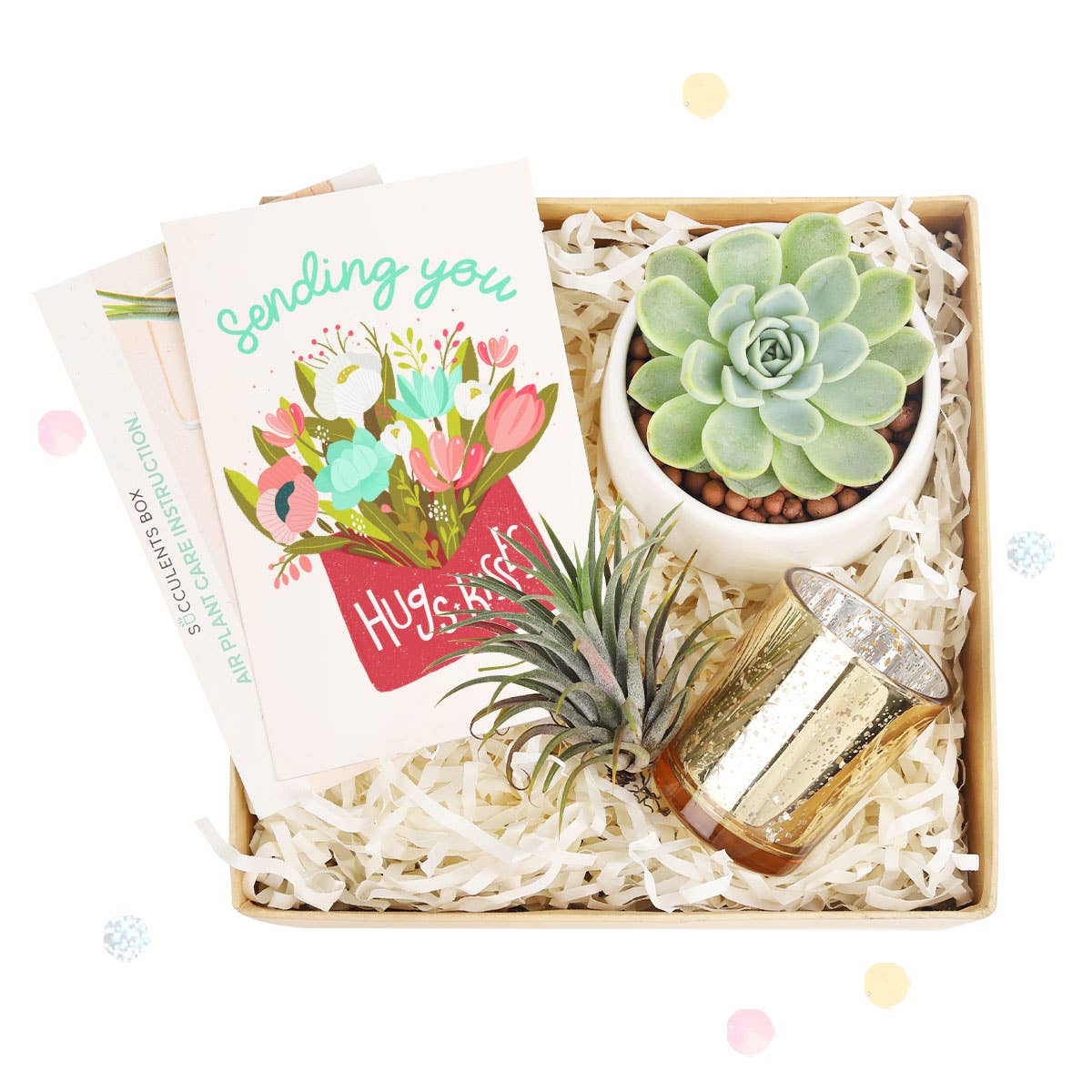 Valentine's Day Gift Box - 1 Succulent And 1 Airplant