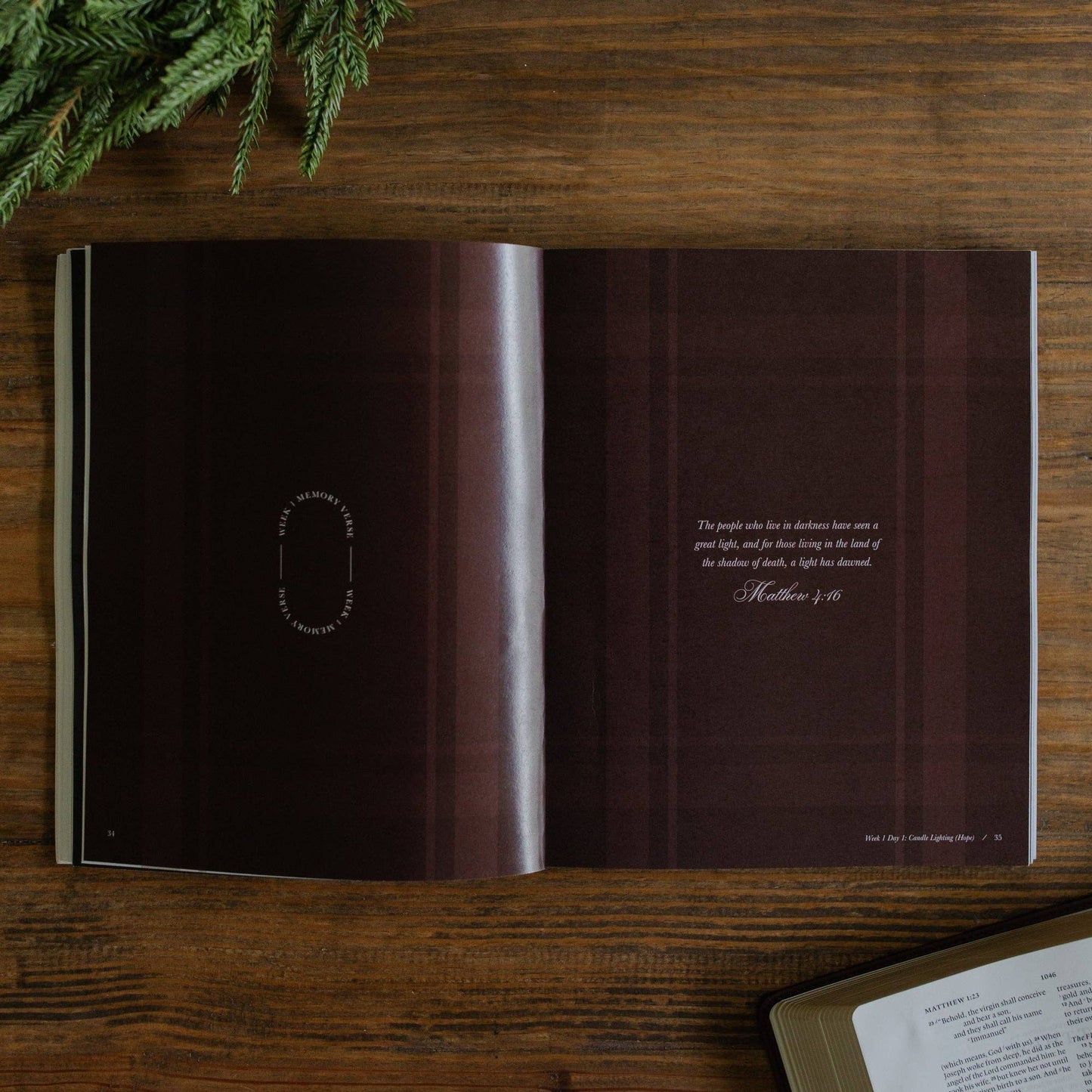 Awakening Wonder | Experiencing the Nearness of Jesus | 2025 Daily Grace Advent Study