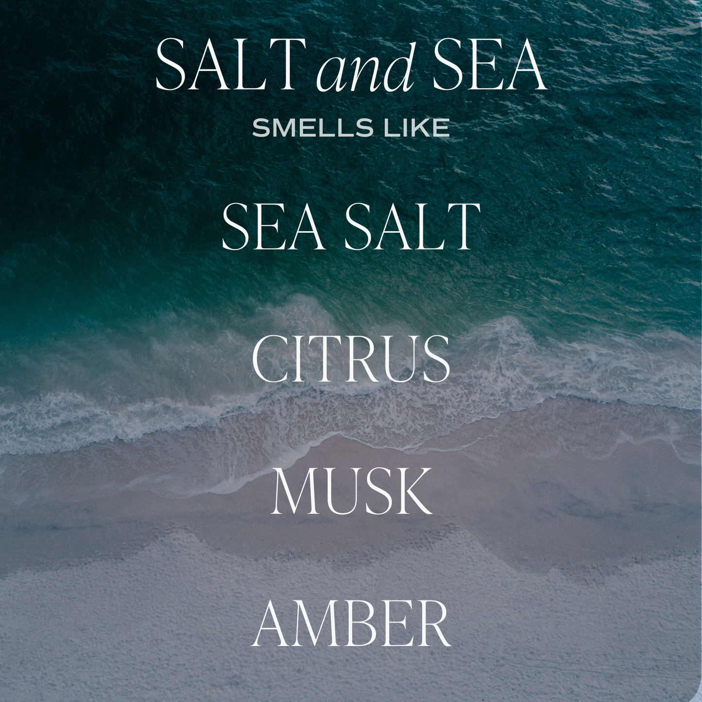 *NEW* Salt and Sea Reed Diffuser - Home Decor & Gifts