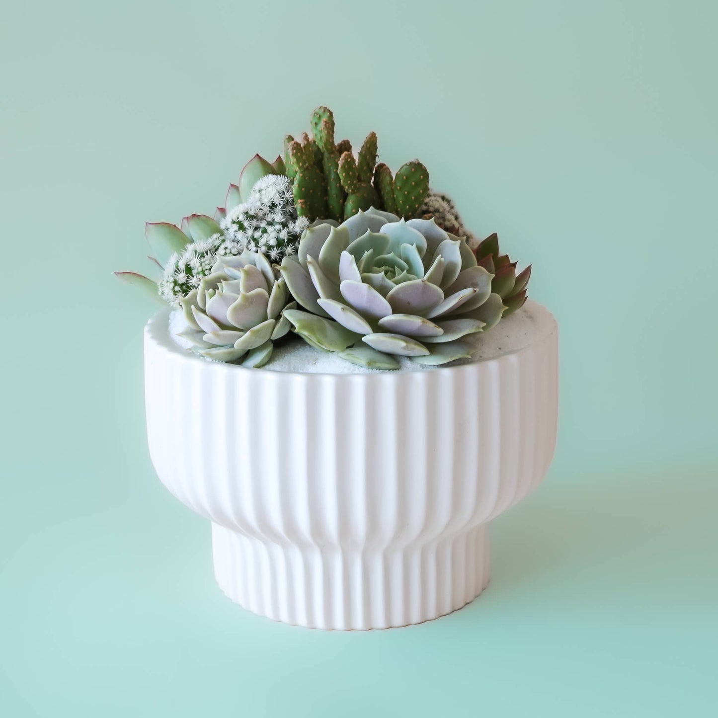 Presley Pedestal Planter | White