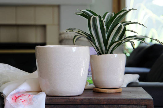 Jewel freeform planter, ivory crackle