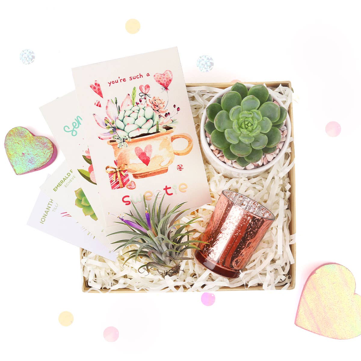 Valentine's Day Gift Box - 1 Succulent And 1 Airplant