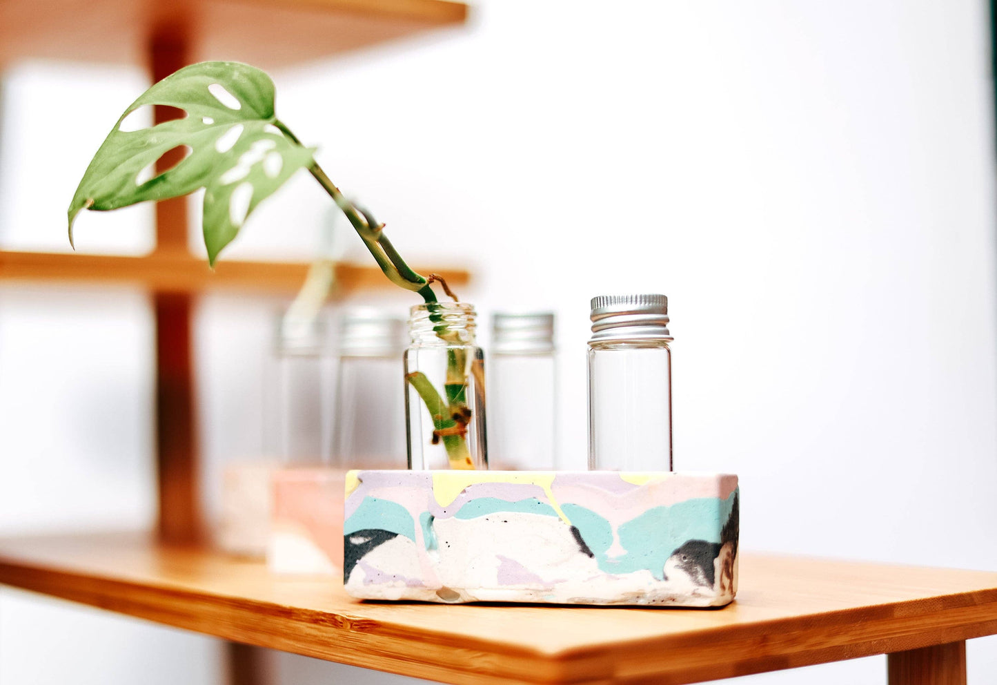 2 Vial Propagation Station Flower Bud Vase