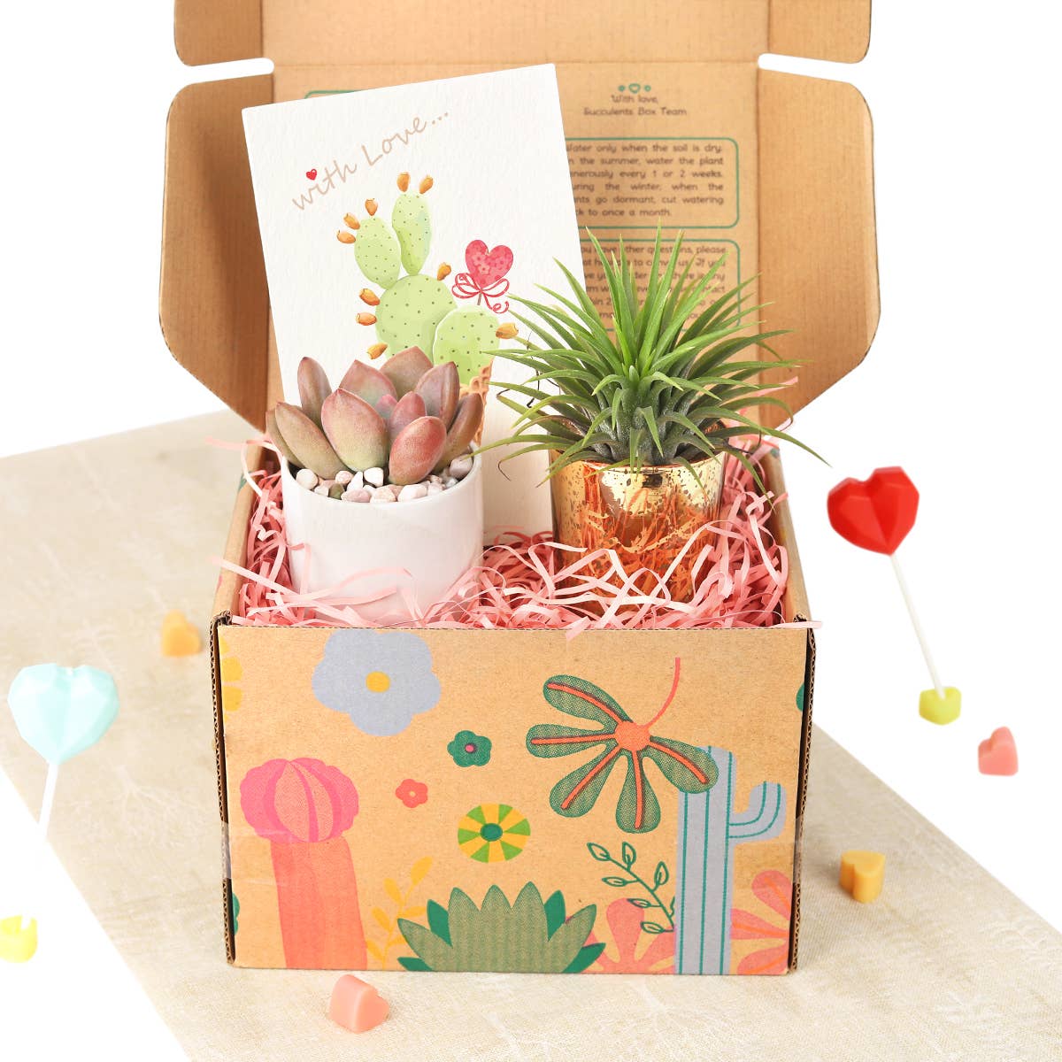 Valentine's Day Gift Box - 1 Succulent And 1 Airplant