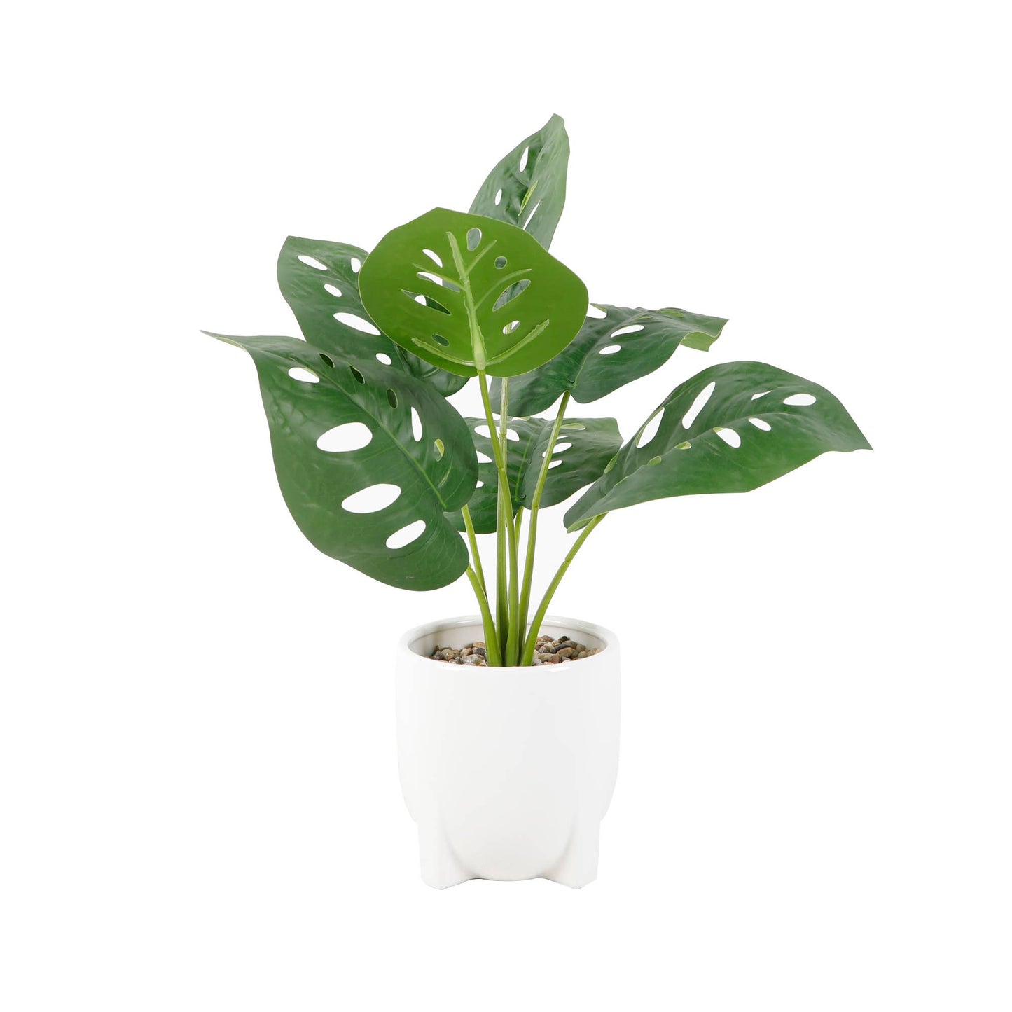12.5" Cut Leaf  in 4" Footed Ceramic