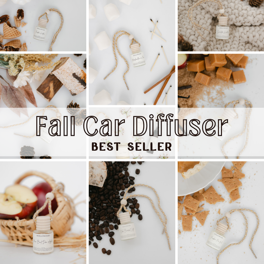 FALL CAR DIFFUSERS