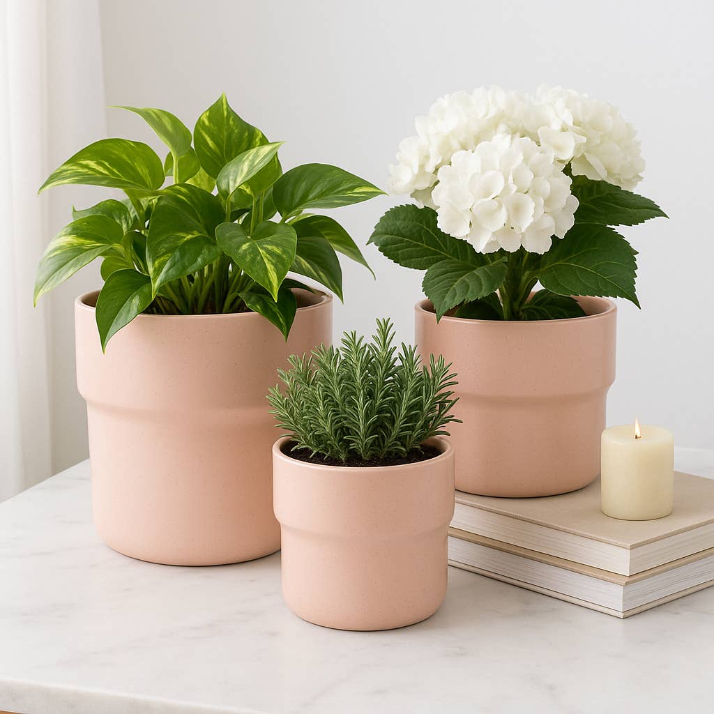 Planters Set of 3 - Pink Ceramic Round Mushroom, 7/9/10 in.