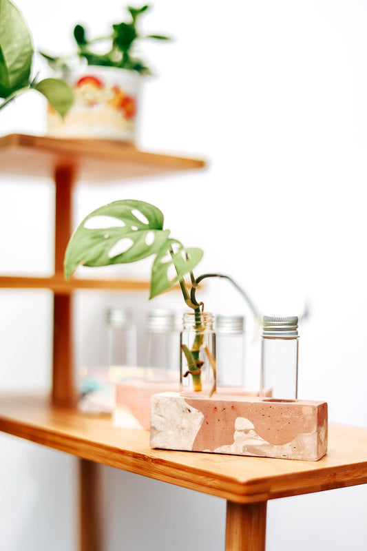 2 Vial Propagation Station Flower Bud Vase