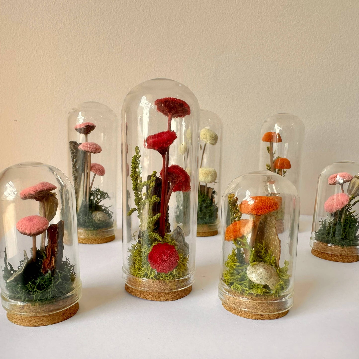 Mushroom Mix Terrarium Glass Cloche Cork Jar & Florals