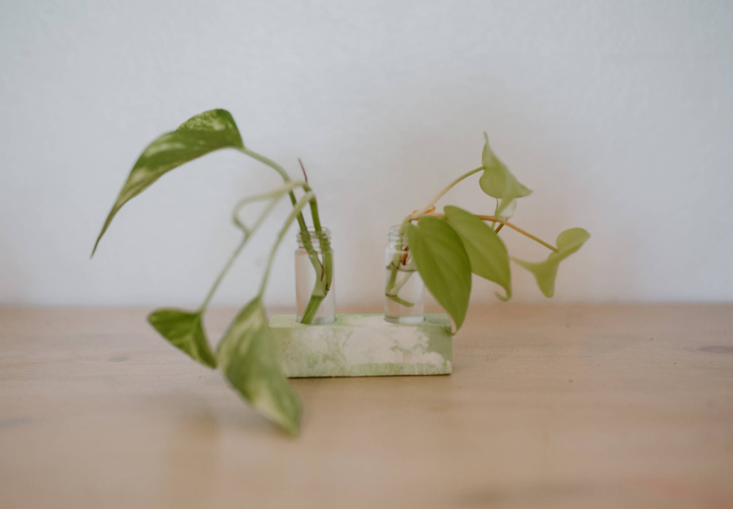 2 Vial Propagation Station Flower Bud Vase