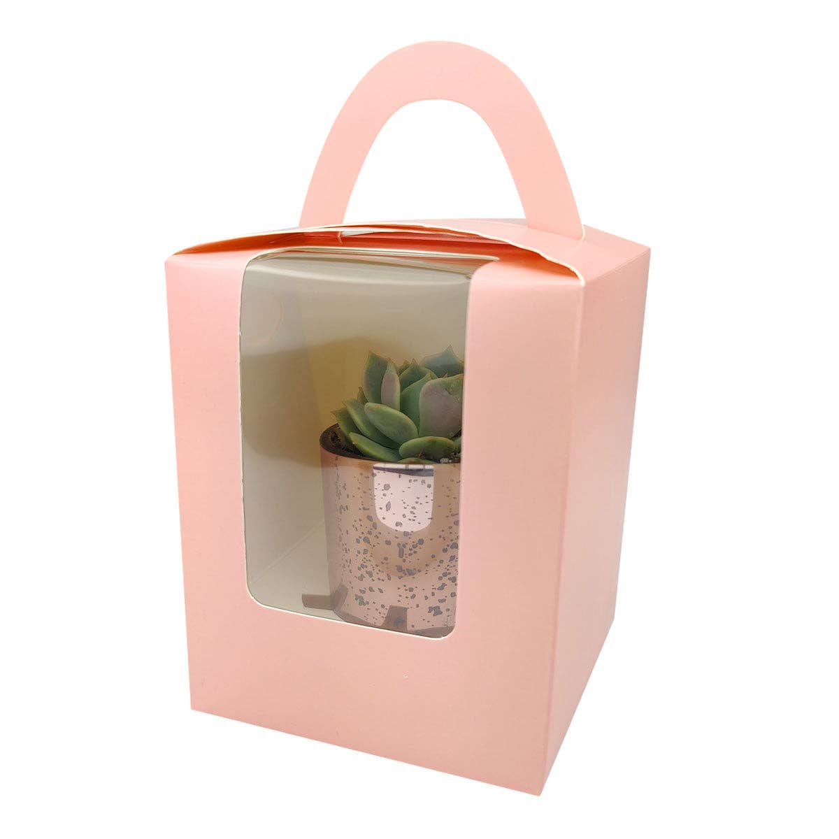 Plant Carrier Bag, Succulent Gift Box, Valentine Gift Ideas