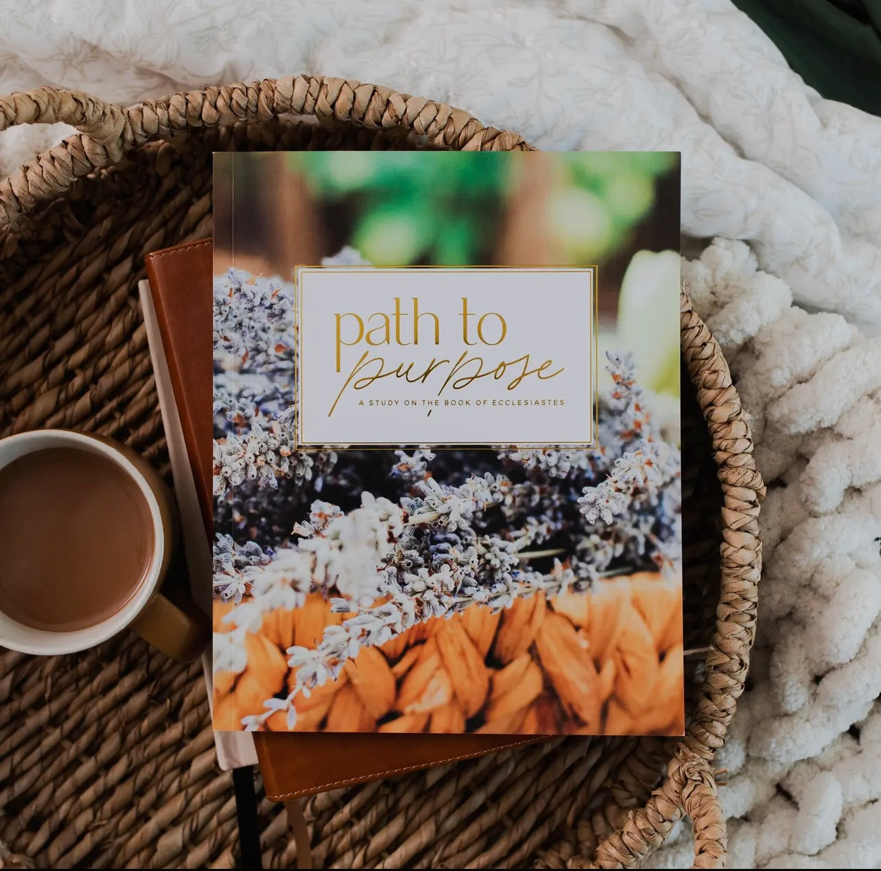 Path to Purpose | A Study on the Book of Ecclesiastes