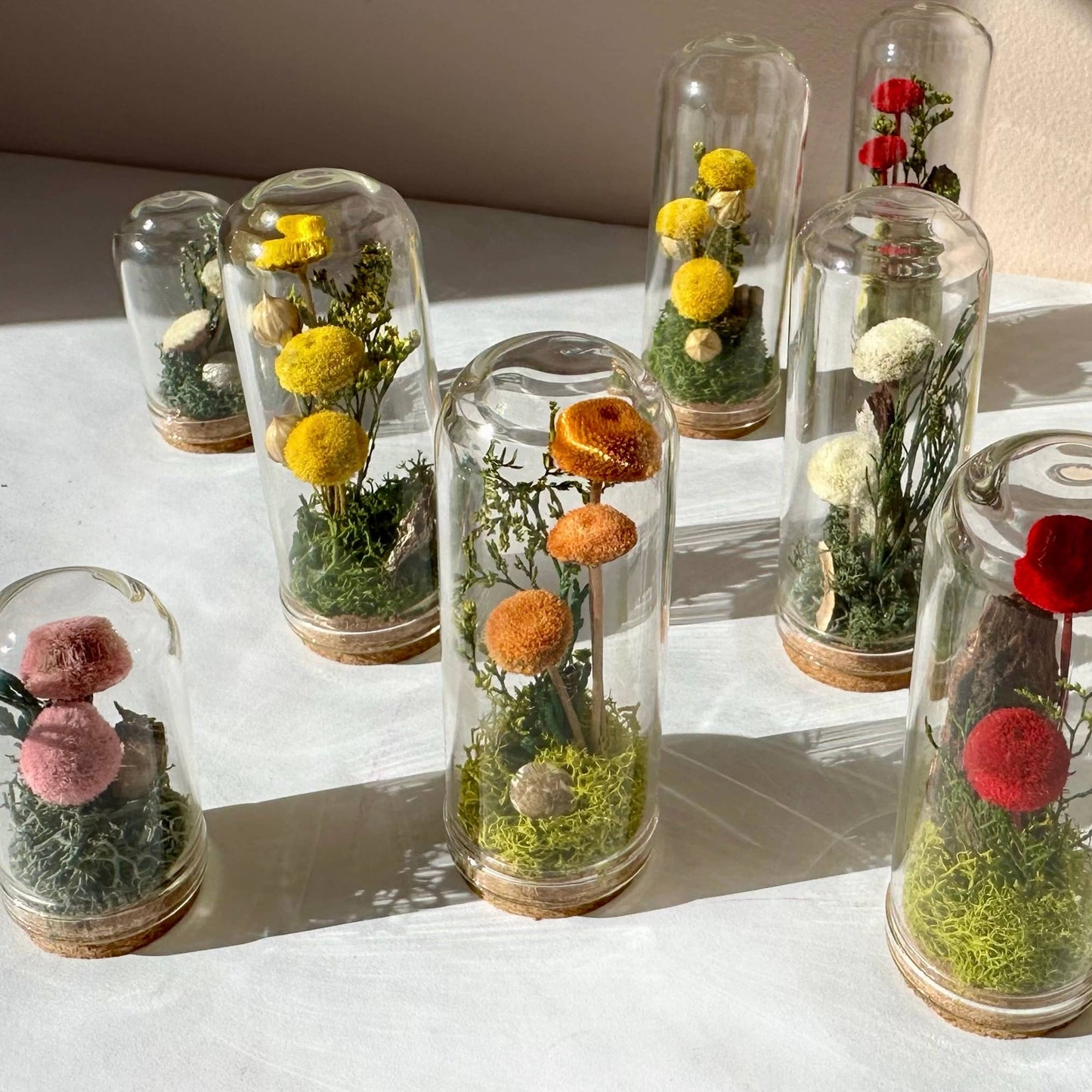 Mushroom Mix Terrarium Glass Cloche Cork Jar & Florals