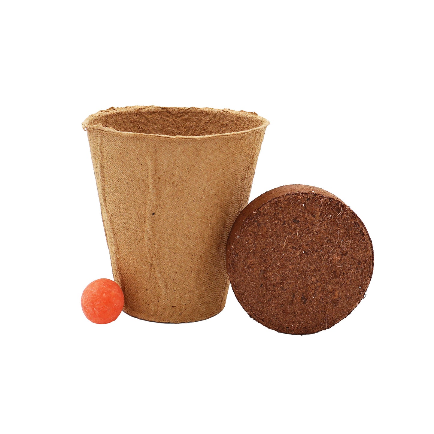 Wildflower Seed Ball Cups 6pk | Pollinator Mix | Bee Garden