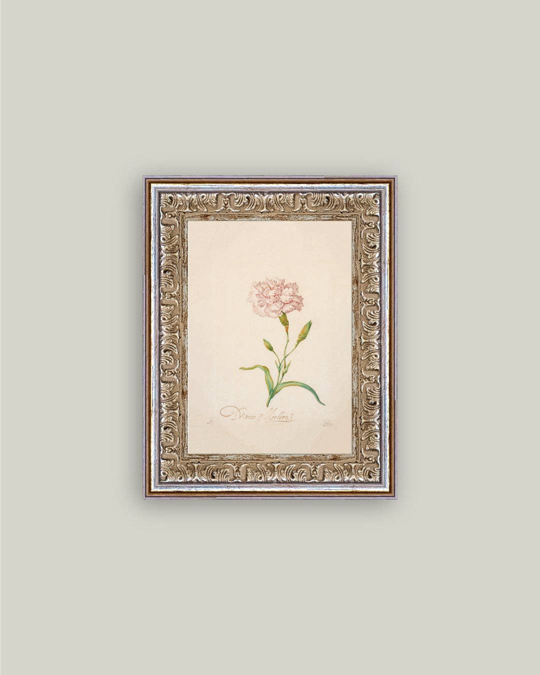 Pink Carnation Framed Antique Art