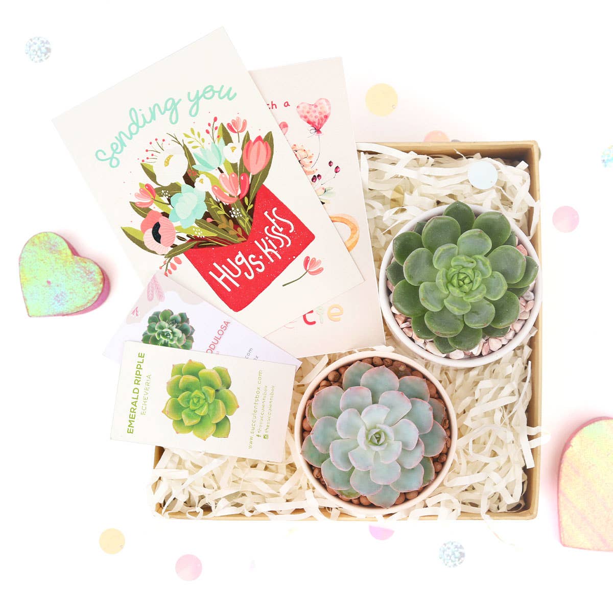 Valentine Gift Box - 2 Succulents - Gifts For Kids, Teens