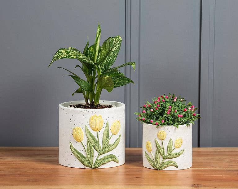 Planter with Tulip-Yellow