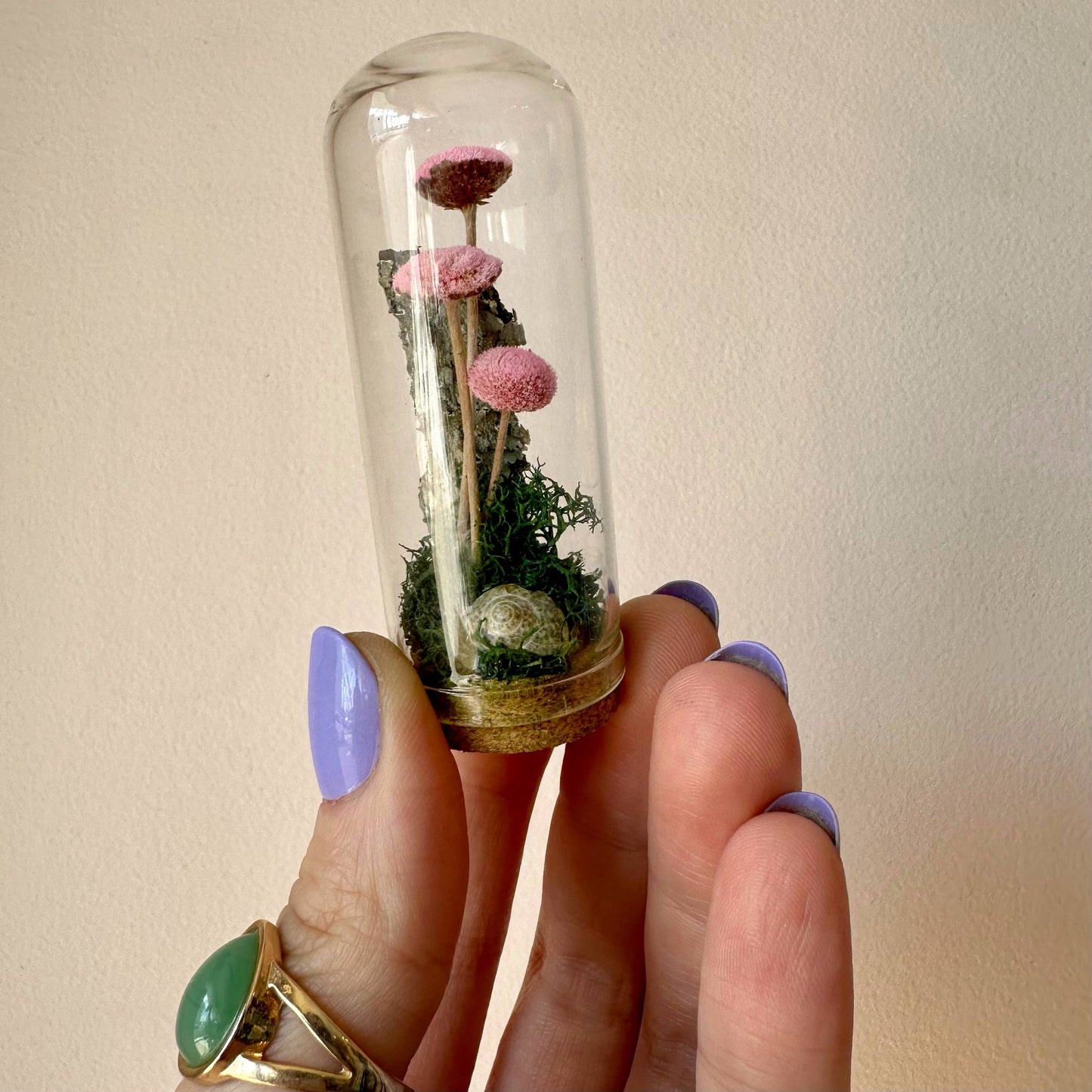 Mushroom Mix Terrarium Glass Cloche Cork Jar & Florals