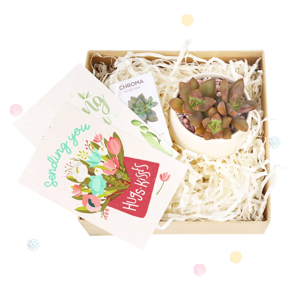 Valentine Gift Box - 1 Succulent - Gift Boxes Ideas For Her