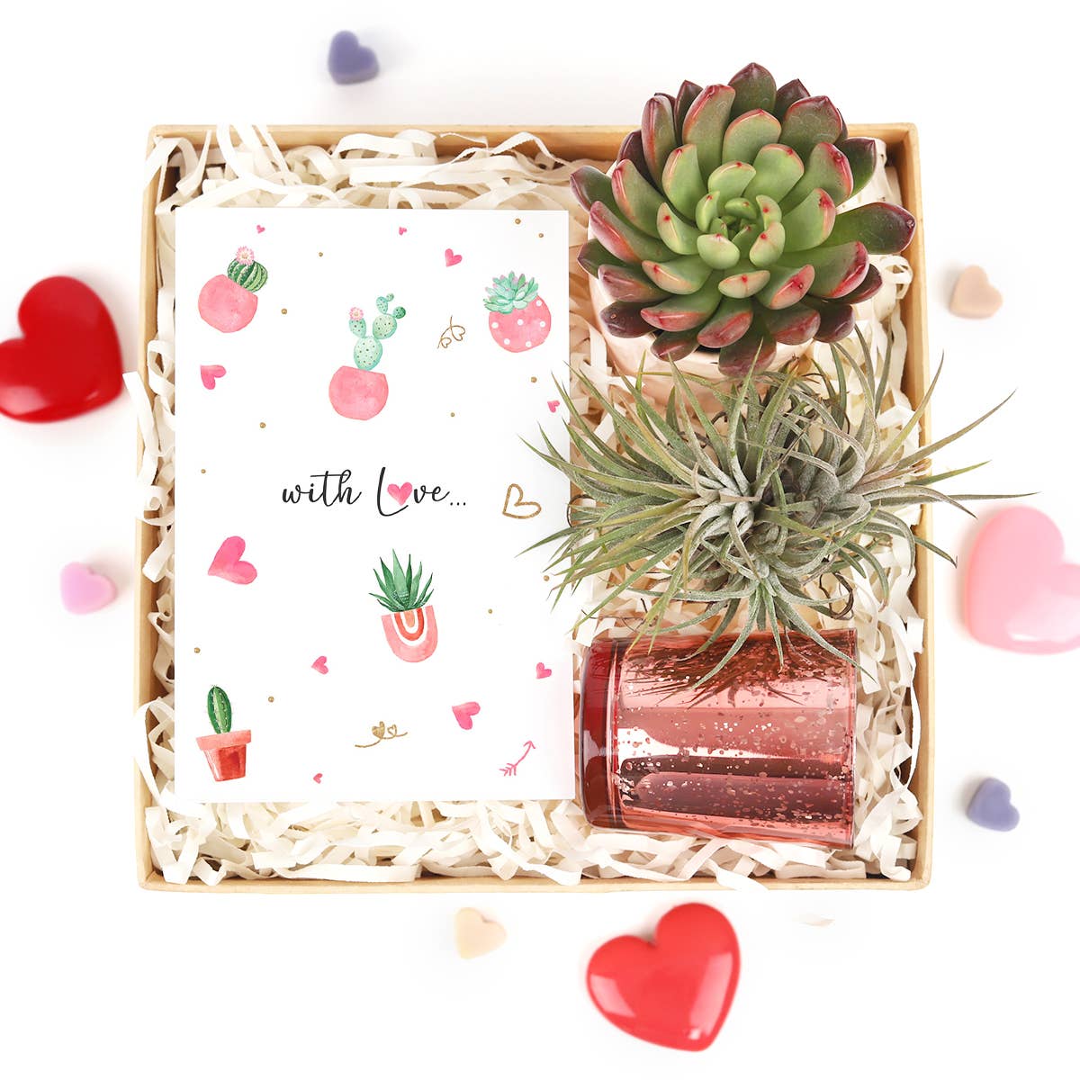 Valentine's Day Gift Box - 1 Succulent And 1 Airplant