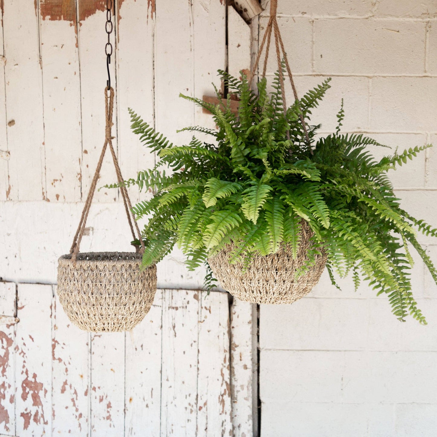 Hanging Seagrass Baskets (Set Of 02)