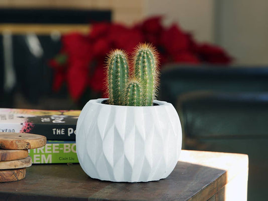 Geometry diamond twirl planter