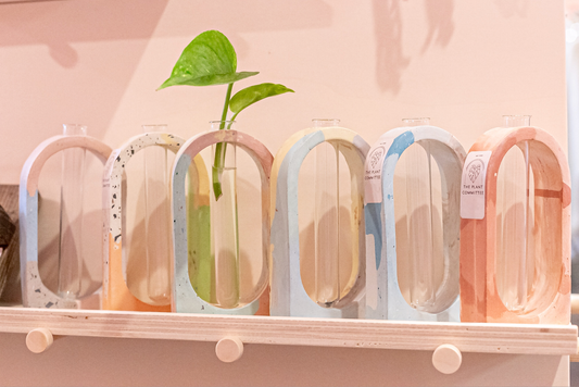 Arch Propagation Station