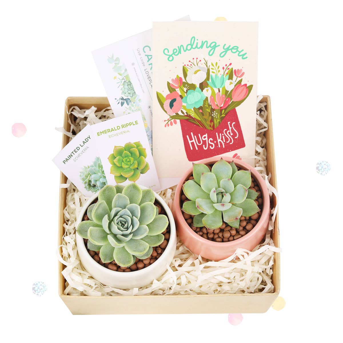 Valentine Gift Box - 2 Succulents - Gifts For Kids, Teens