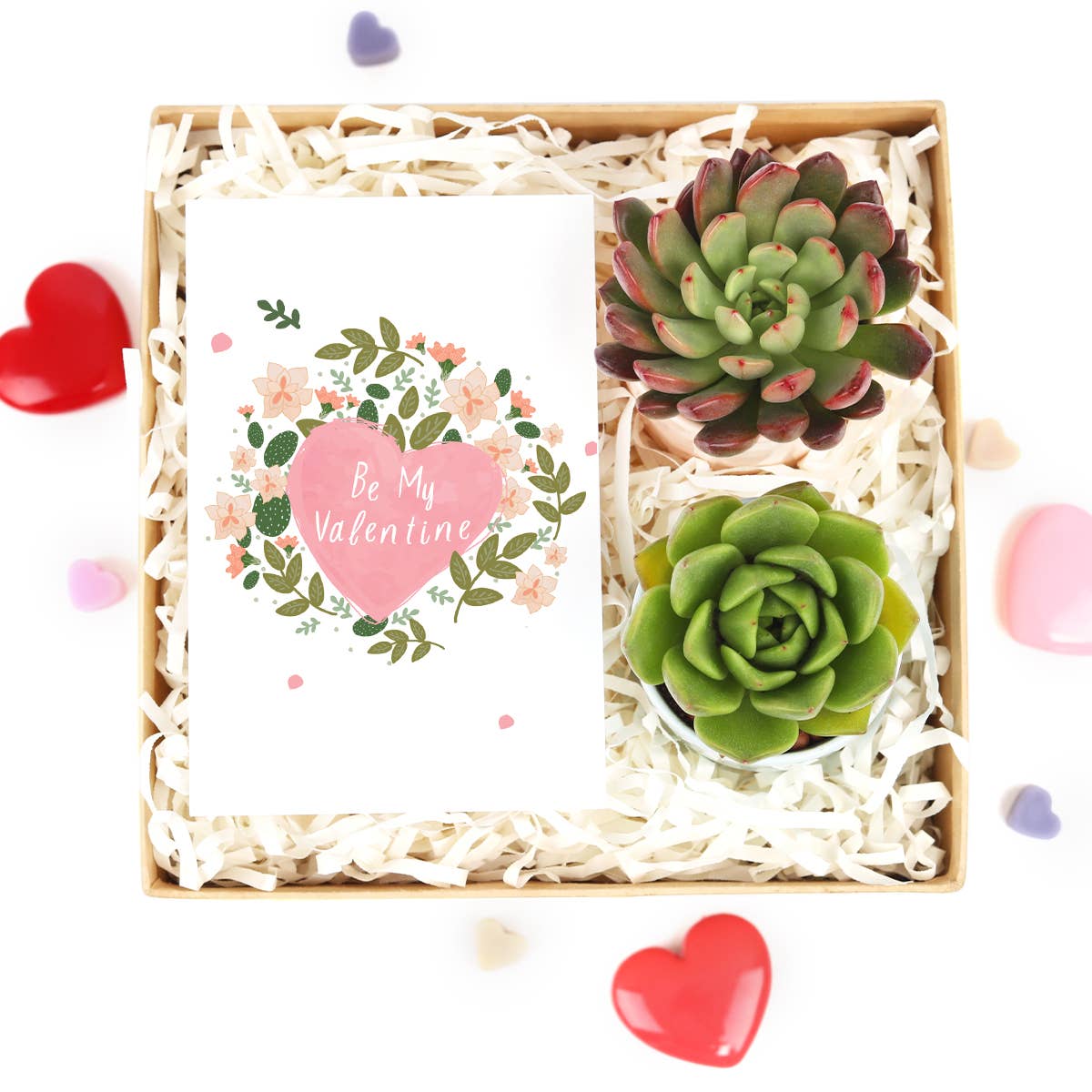 Valentine Gift Box - 2 Succulents - Gifts For Kids, Teens