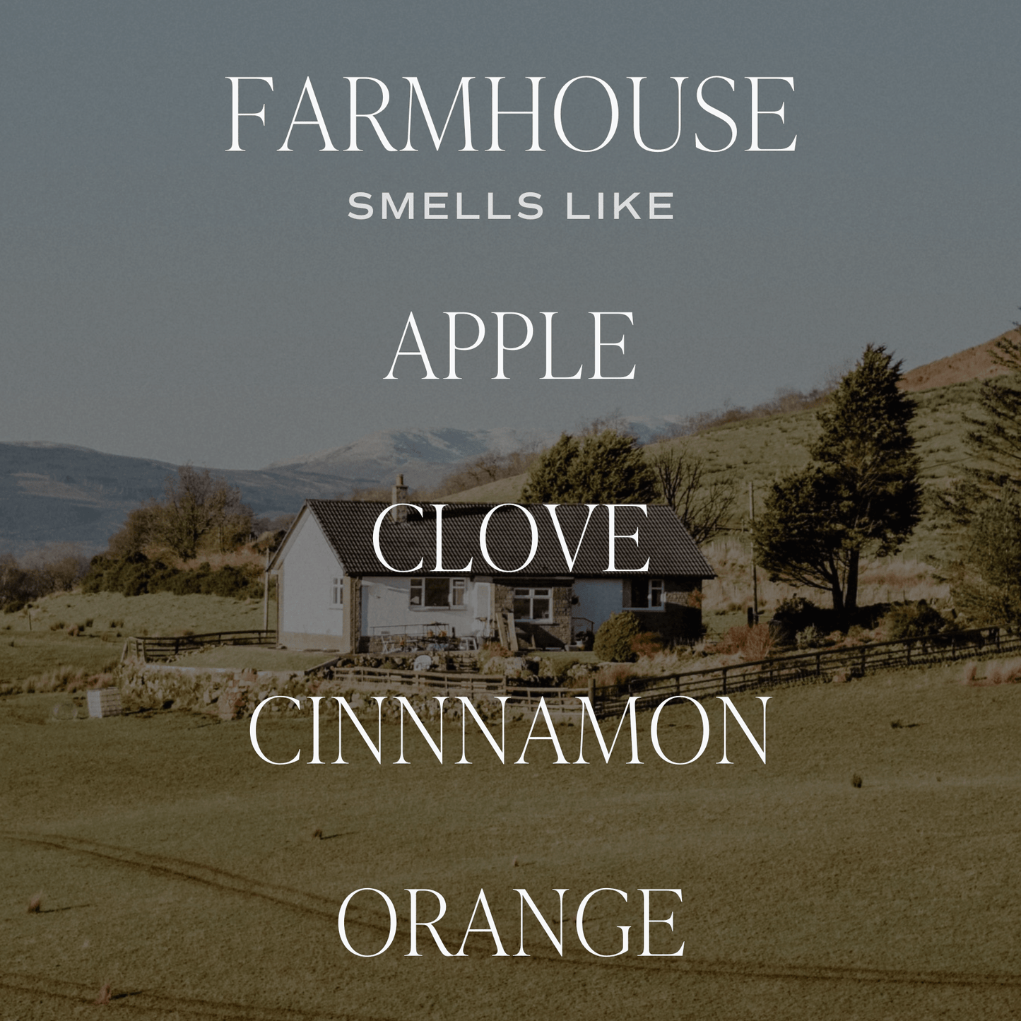 *NEW* Farmhouse Reed Diffuser - Fall Decor & Gifts