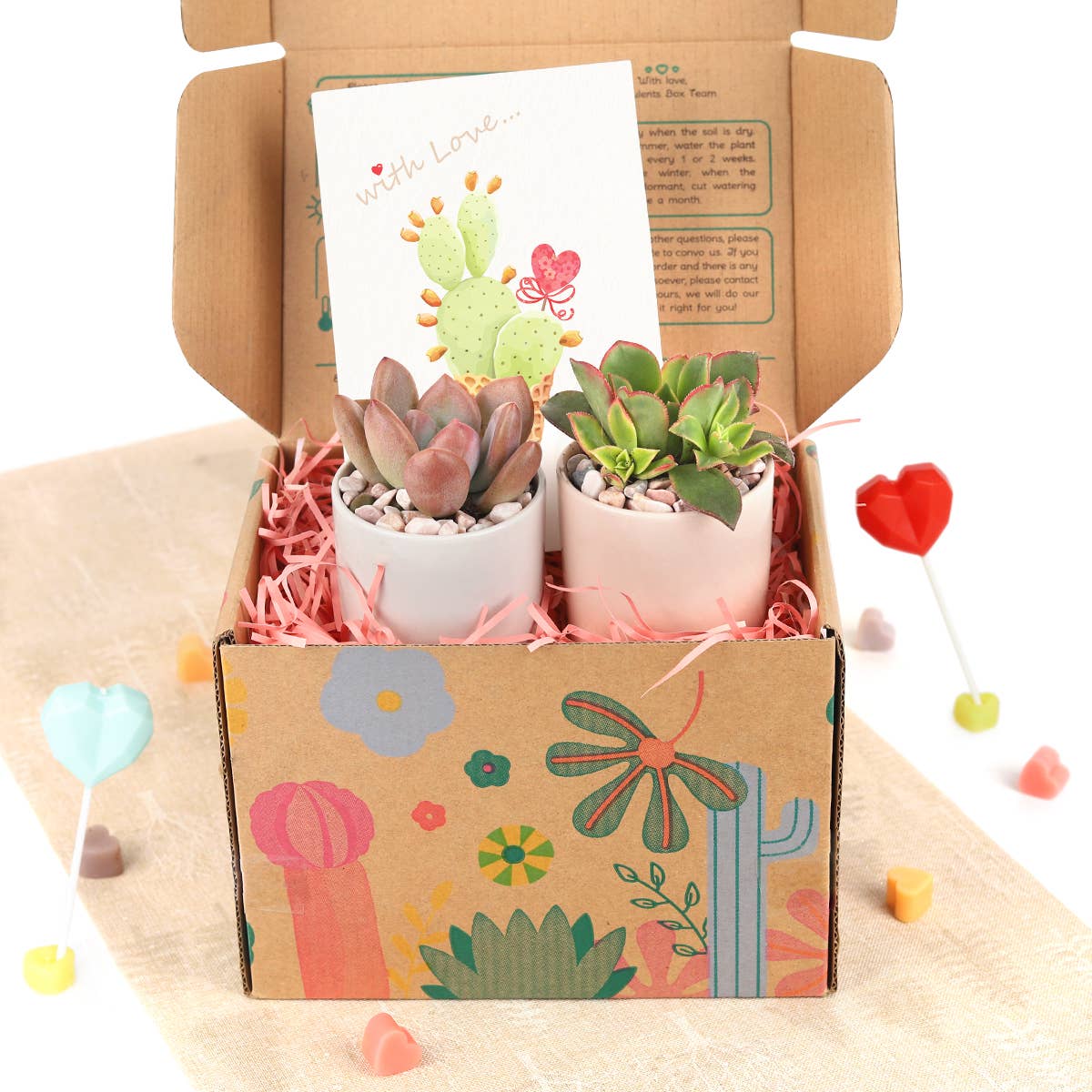 Valentine Gift Box - 2 Succulents - Gifts For Kids, Teens