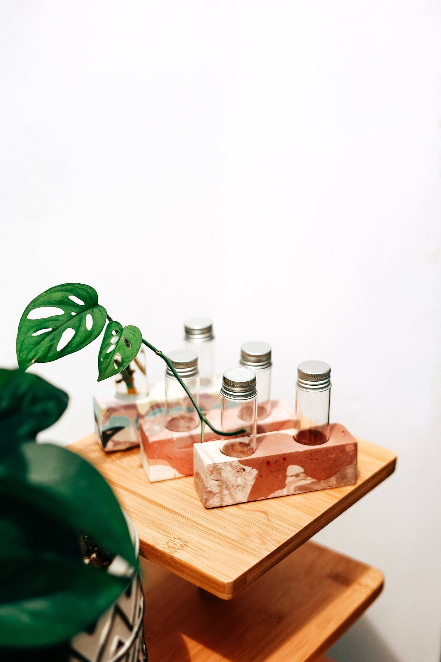 2 Vial Propagation Station Flower Bud Vase