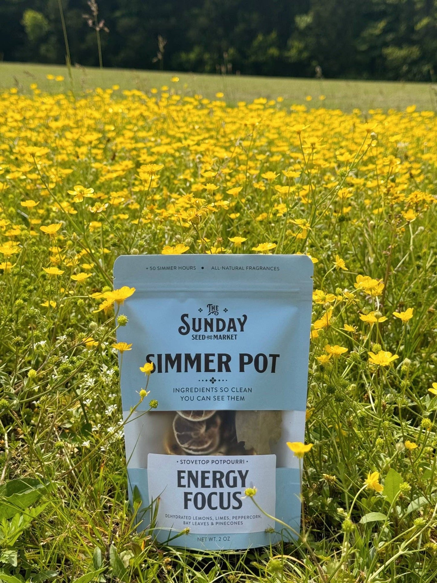 Energy Focus Simmer Pot | Lemon Lime Peppercorn Bay Leaves