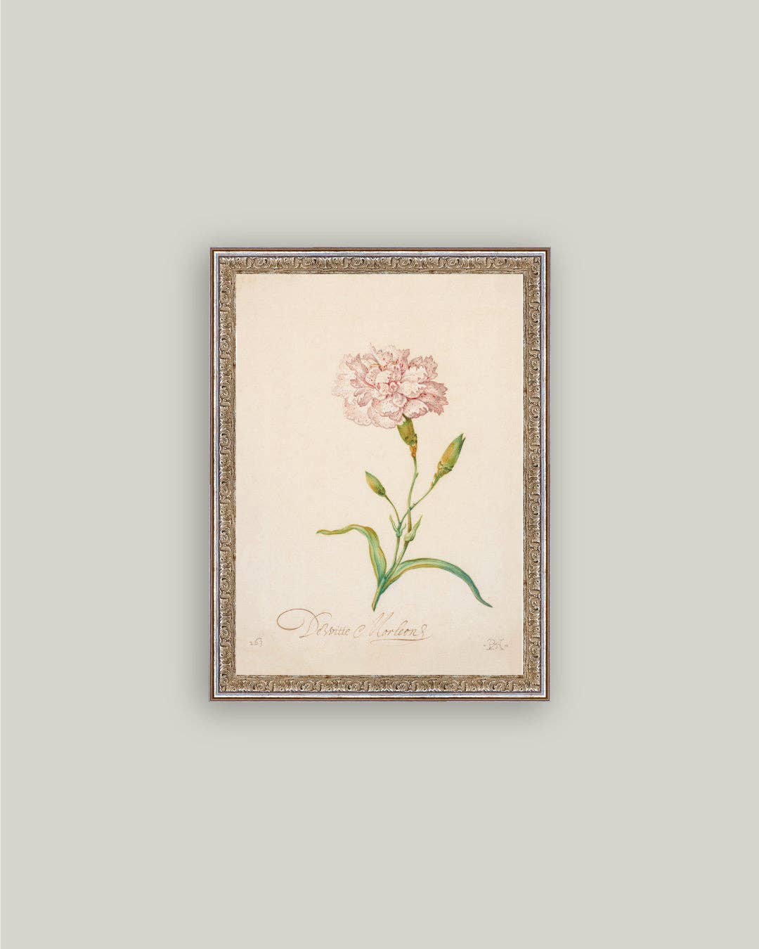 Pink Carnation Framed Antique Art