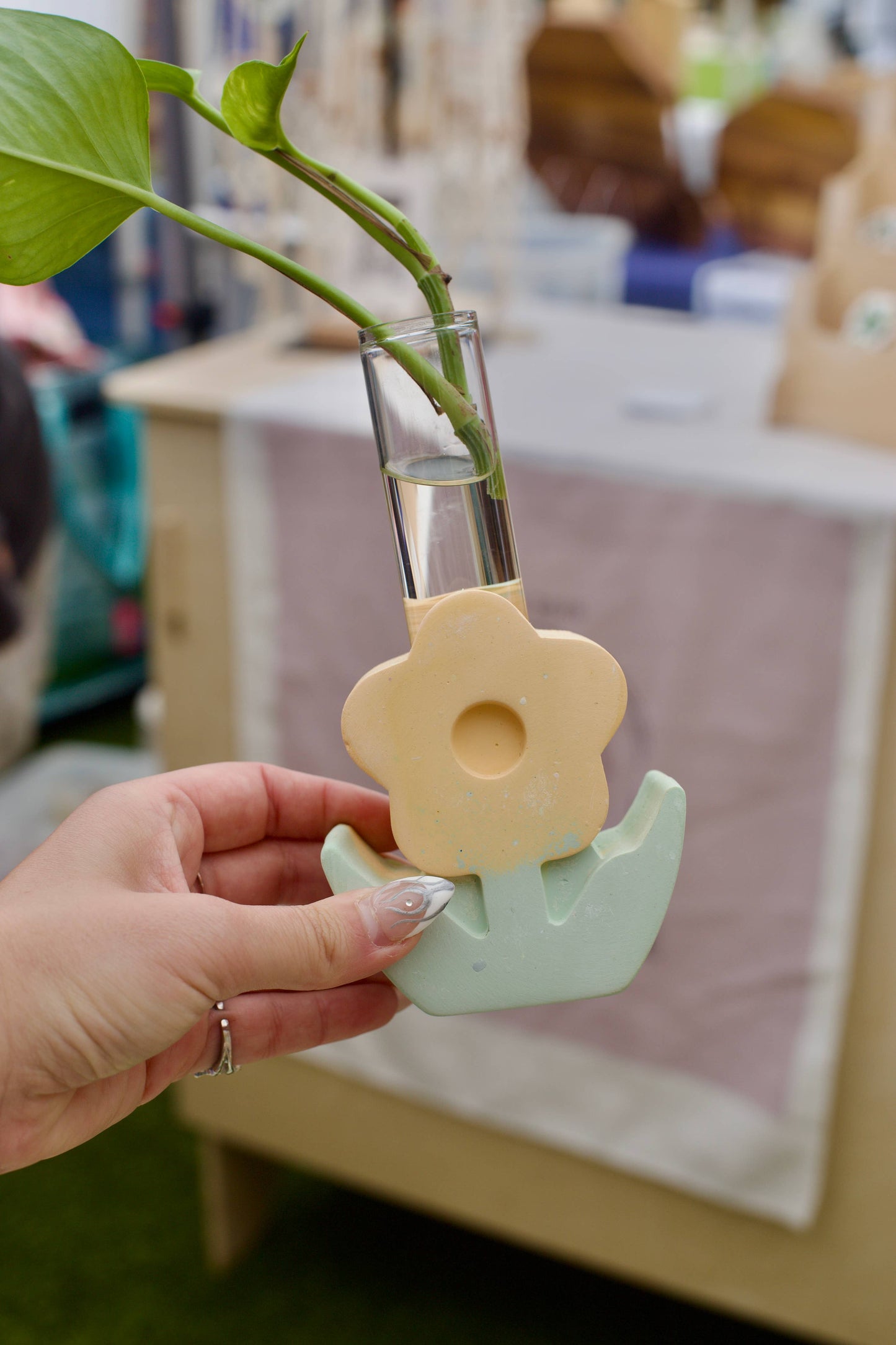 Daisy Vase Propagation Station